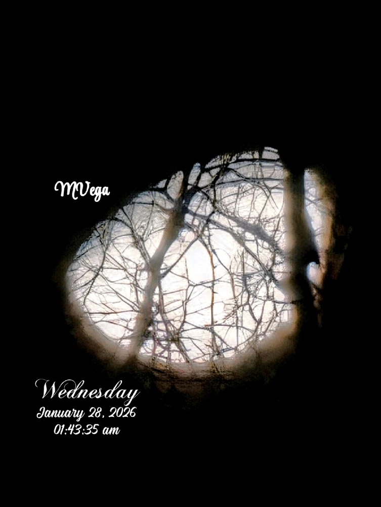 GIF uploaded by Maddie