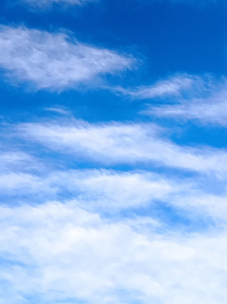 GIF subido por Mario