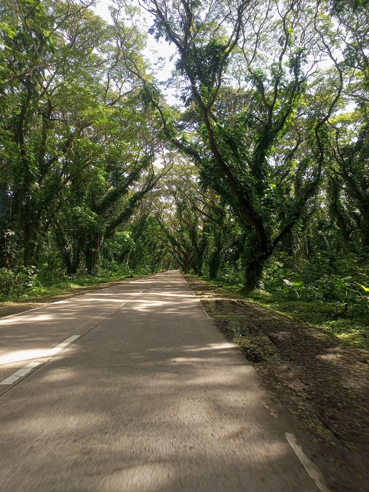 Image uploaded by Zly