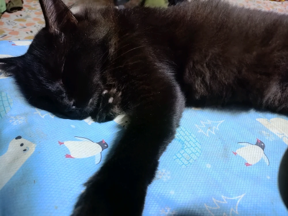 GIF uploaded by seri fatin elyana