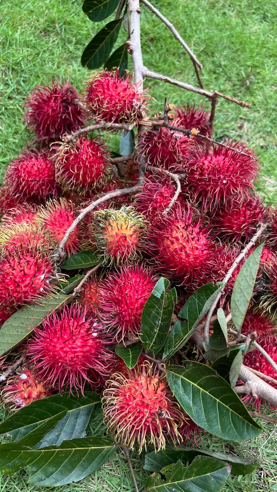 GIF uploaded by Indah