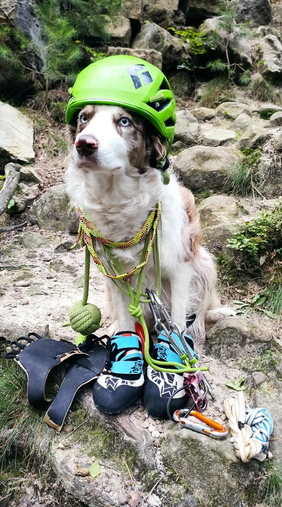 Effy is ready to climb
