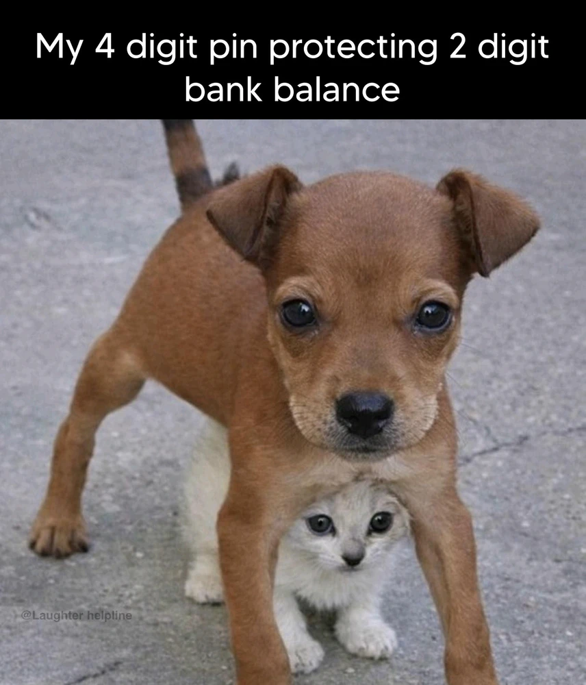 GIF uploaded by สษชแดแดสแด๏ฝกโ โโ โฟโ โโ ๏ฝกสแดแดสแดเฟ