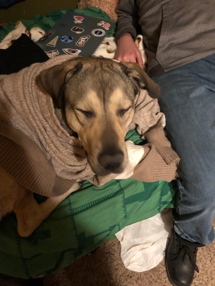 GIF uploaded by Kimberly