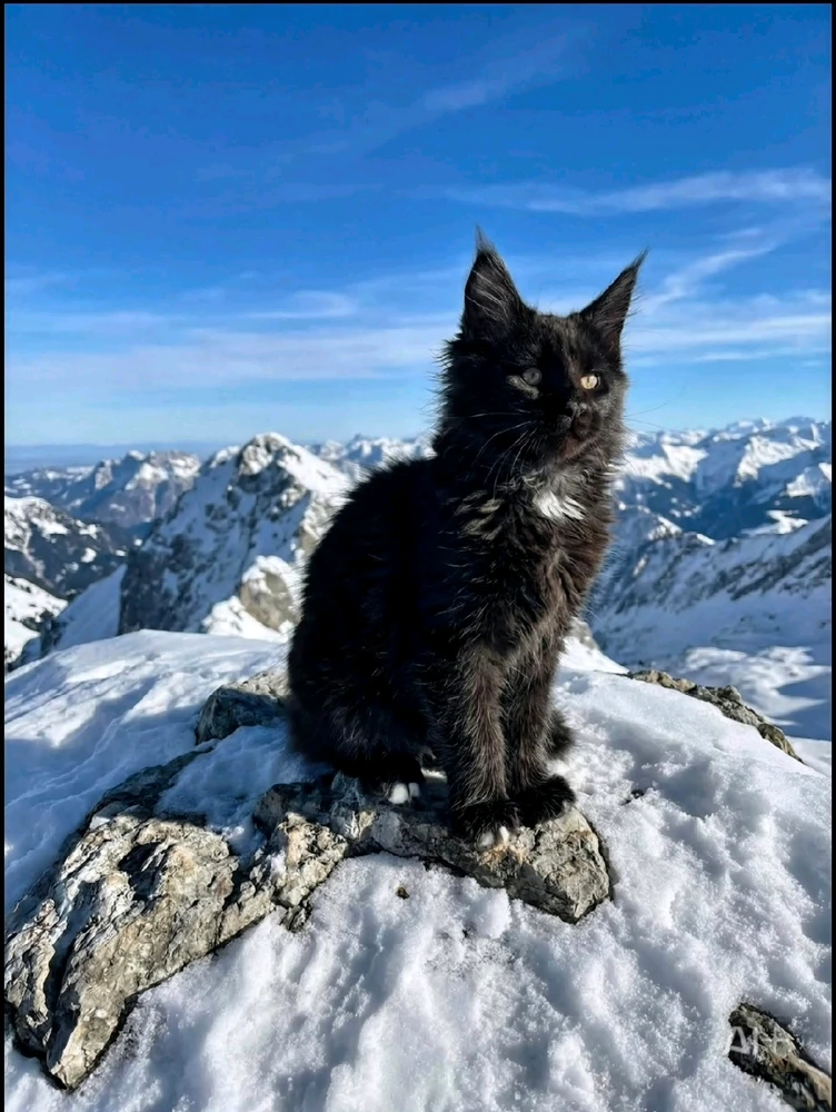 Immagine caricata da Mattia