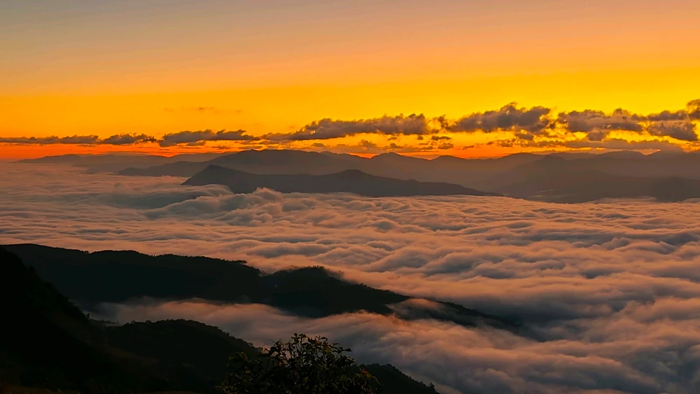 Image uploaded by Hsai