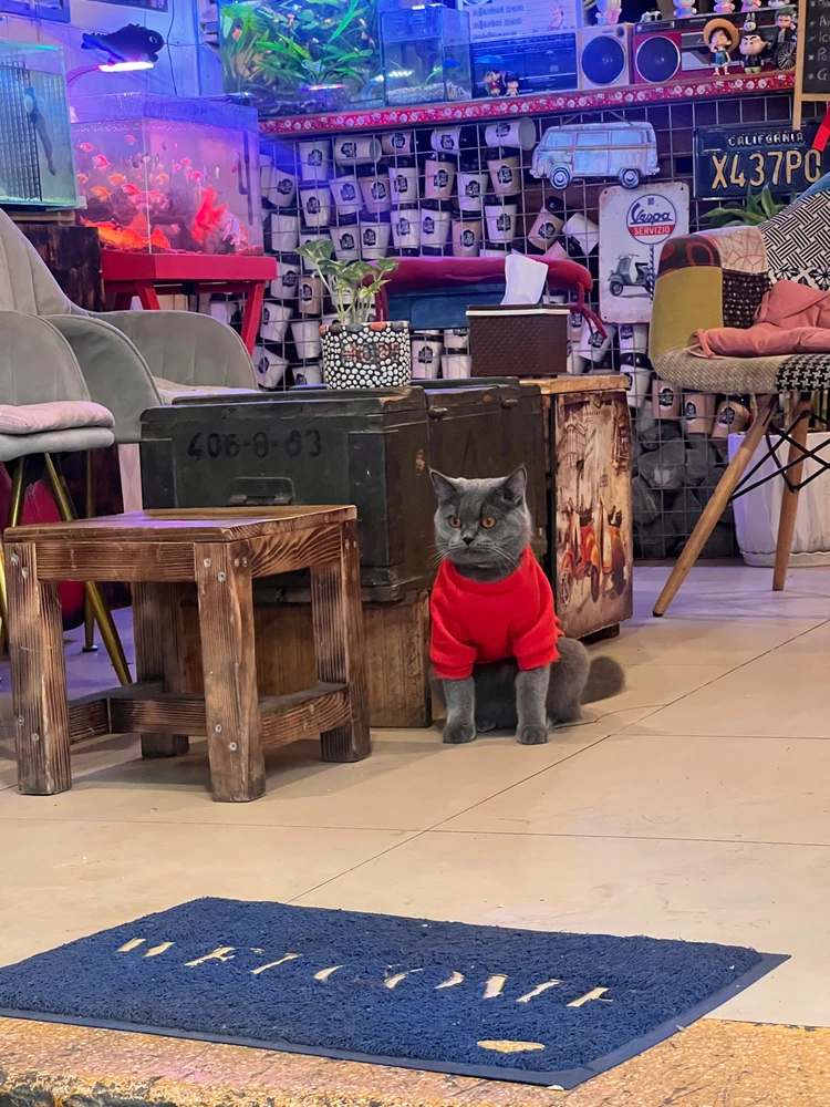 Image uploaded by Bijou