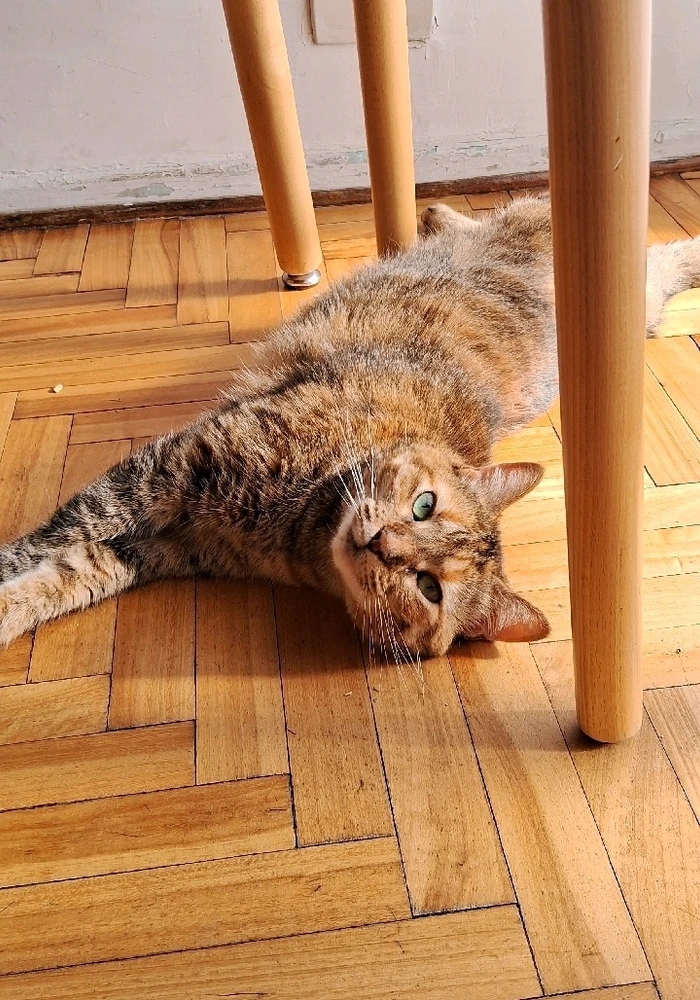 Imagen subida por Juli