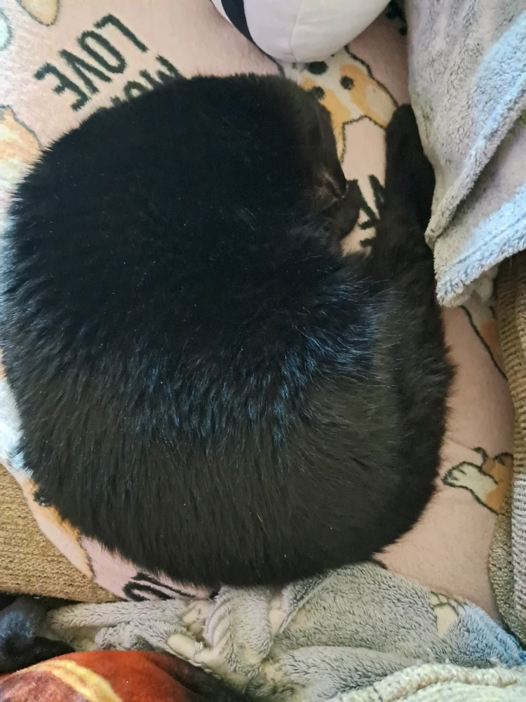 Image uploaded by Tiera