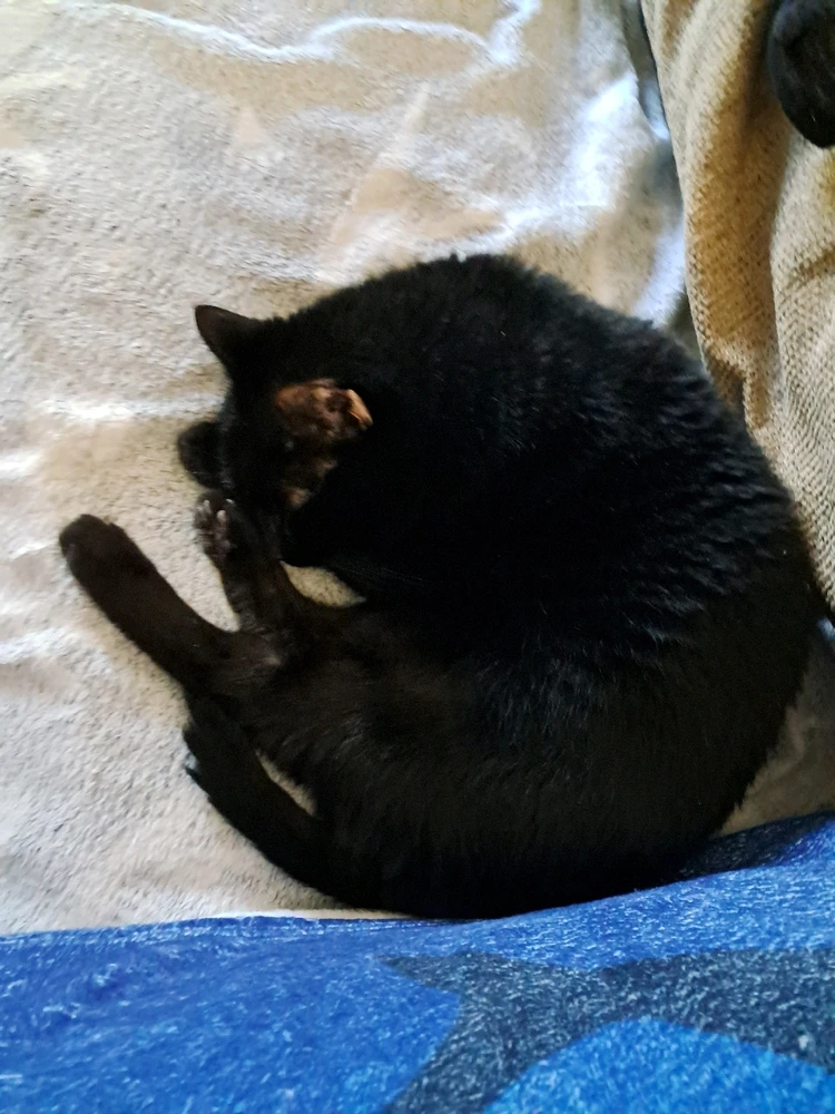 Image uploaded by Tiera