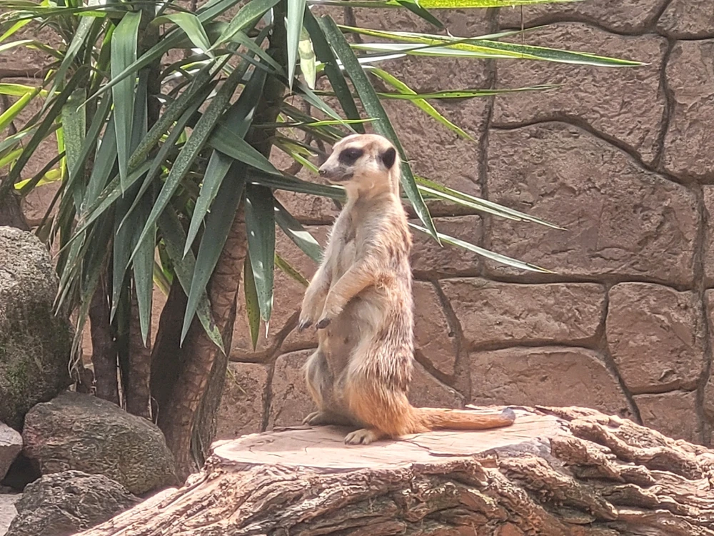 GIF uploaded by Pedro