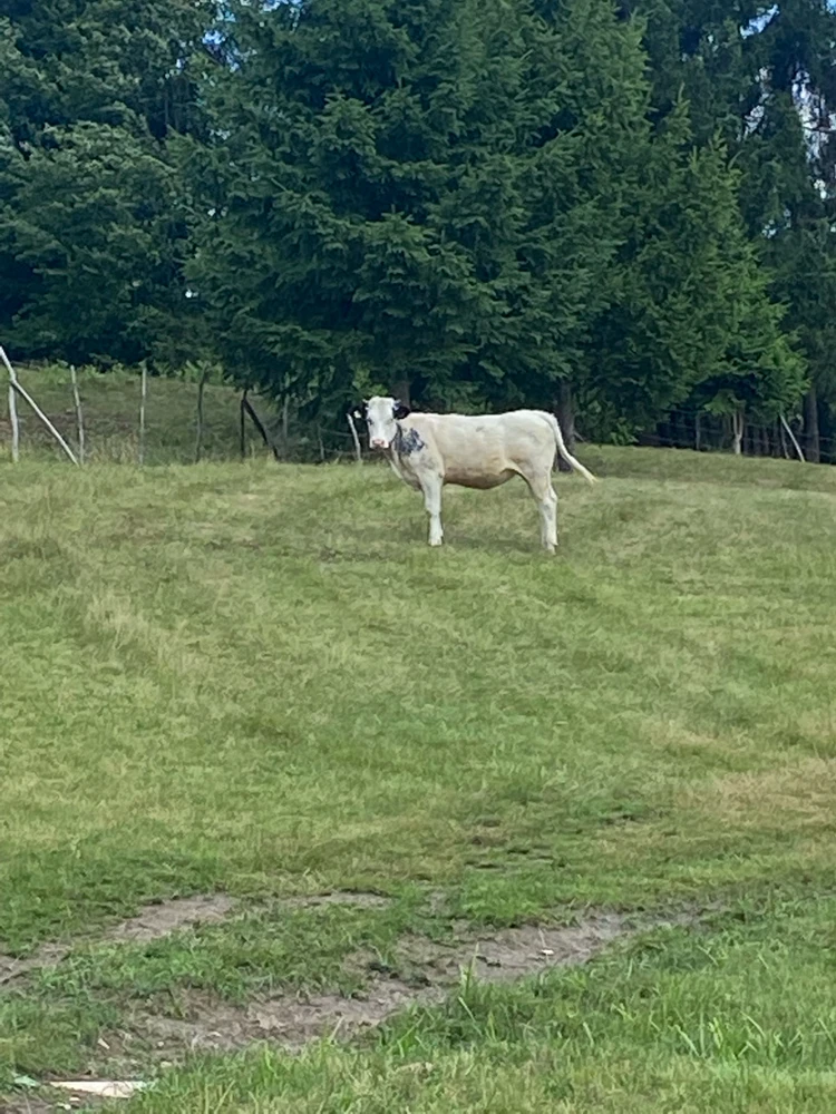 GIF caricata da Emanuela