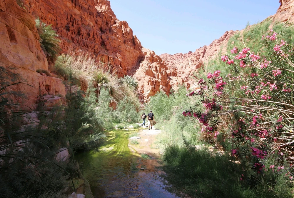 Attila által feltöltött kép