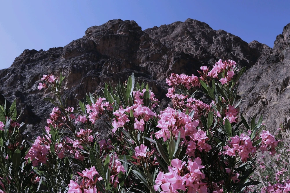 Attila által feltöltött kép