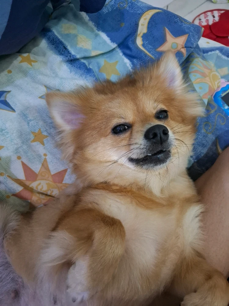 GIF uploaded by Katt