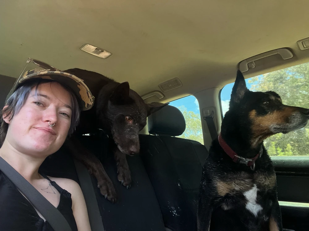 GIF uploaded by Emmet