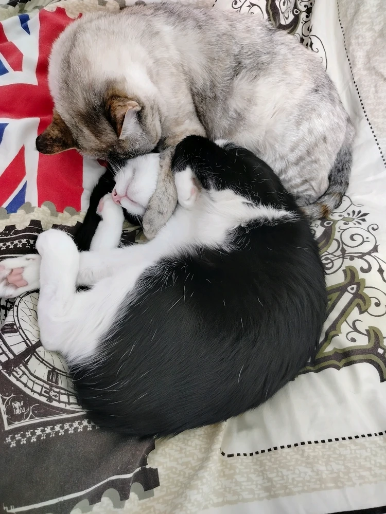 GIF uploaded by Marta