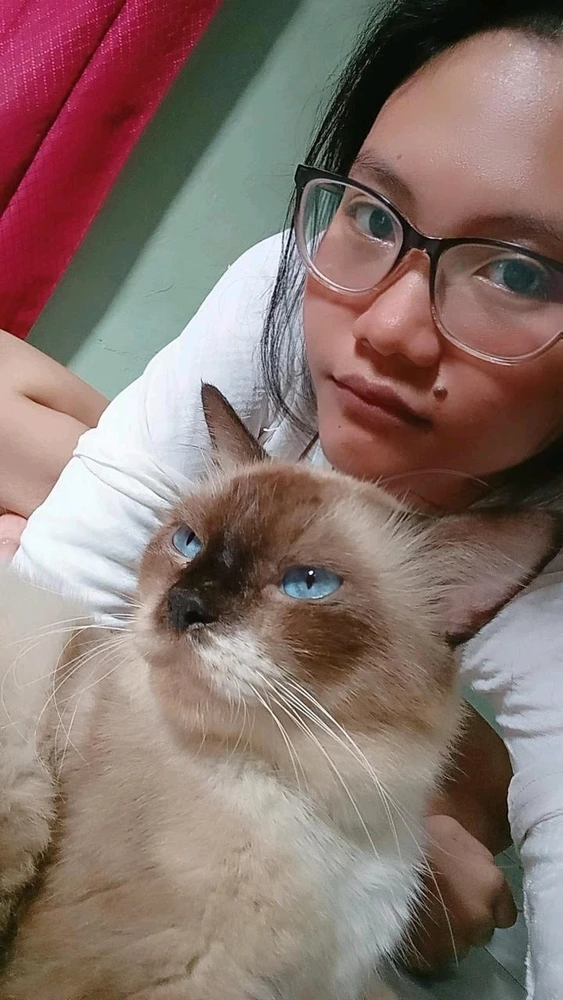 GIF diunggah dening Natasya