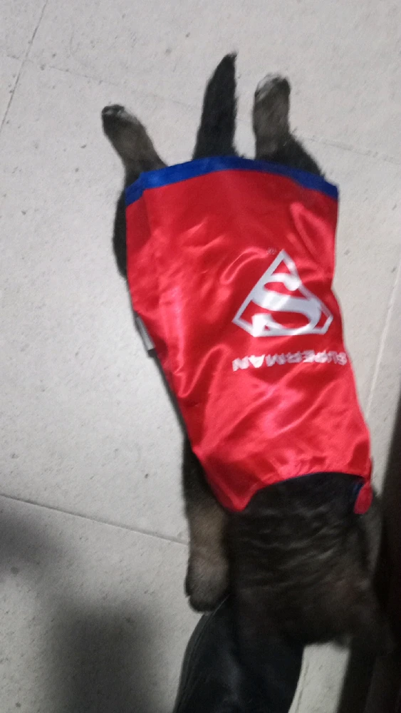 GIF subido por Salvador Hernández