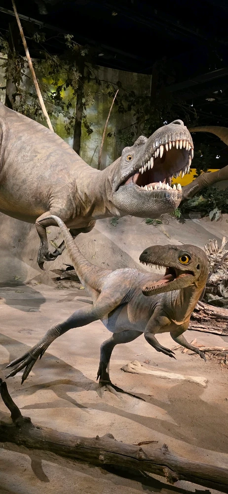 GIF uploaded by Kira