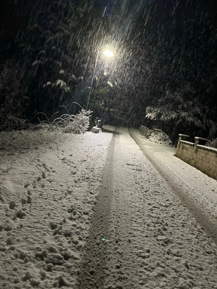 GIF hochgeladen von Laura