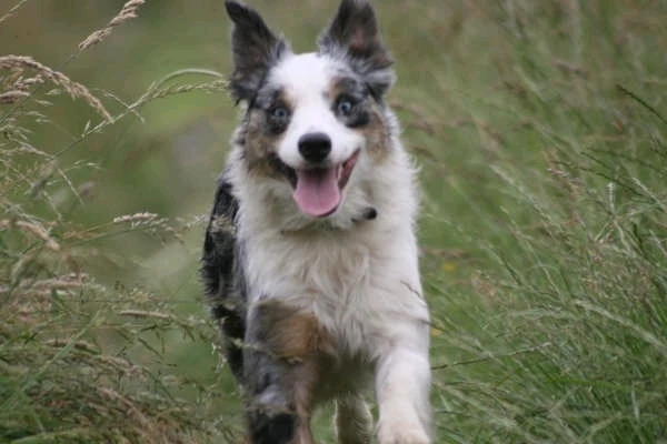 GIF uploaded by Alec Phillips