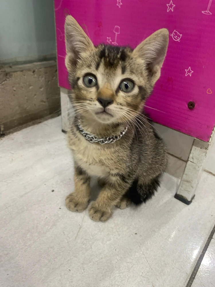 GIF uploaded by Annisa