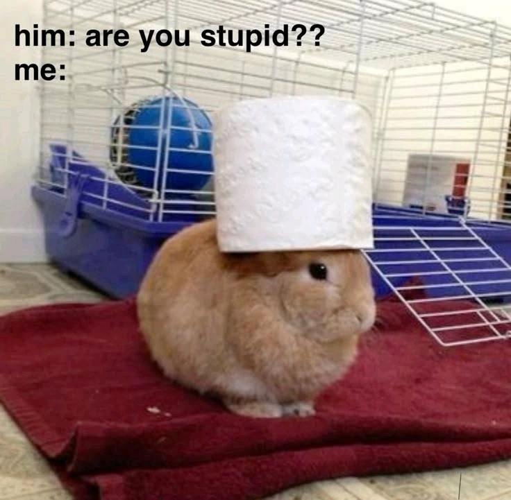 GIF uploaded by Mattie