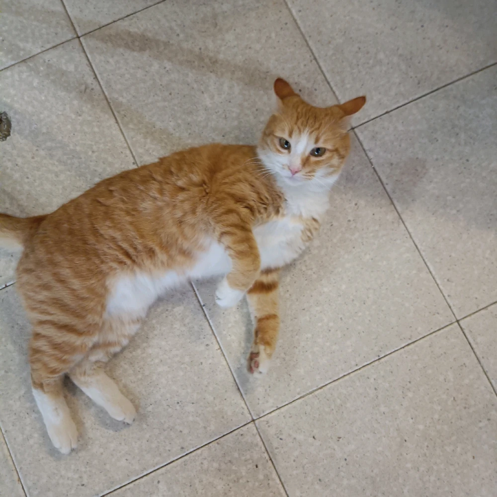 Immagine caricata da Sara