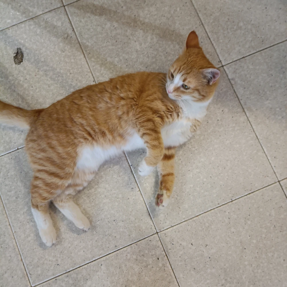 Immagine caricata da Sara