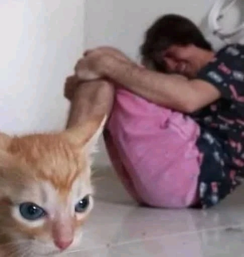 GIF subido por Giovanna