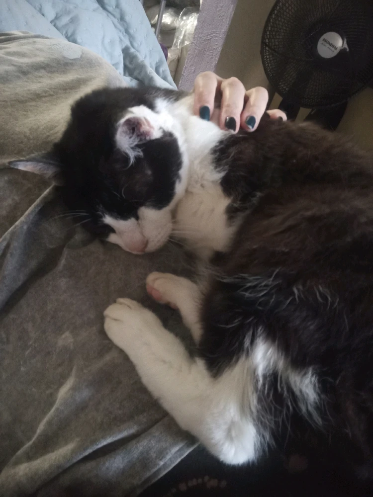 GIF enviado por Monica