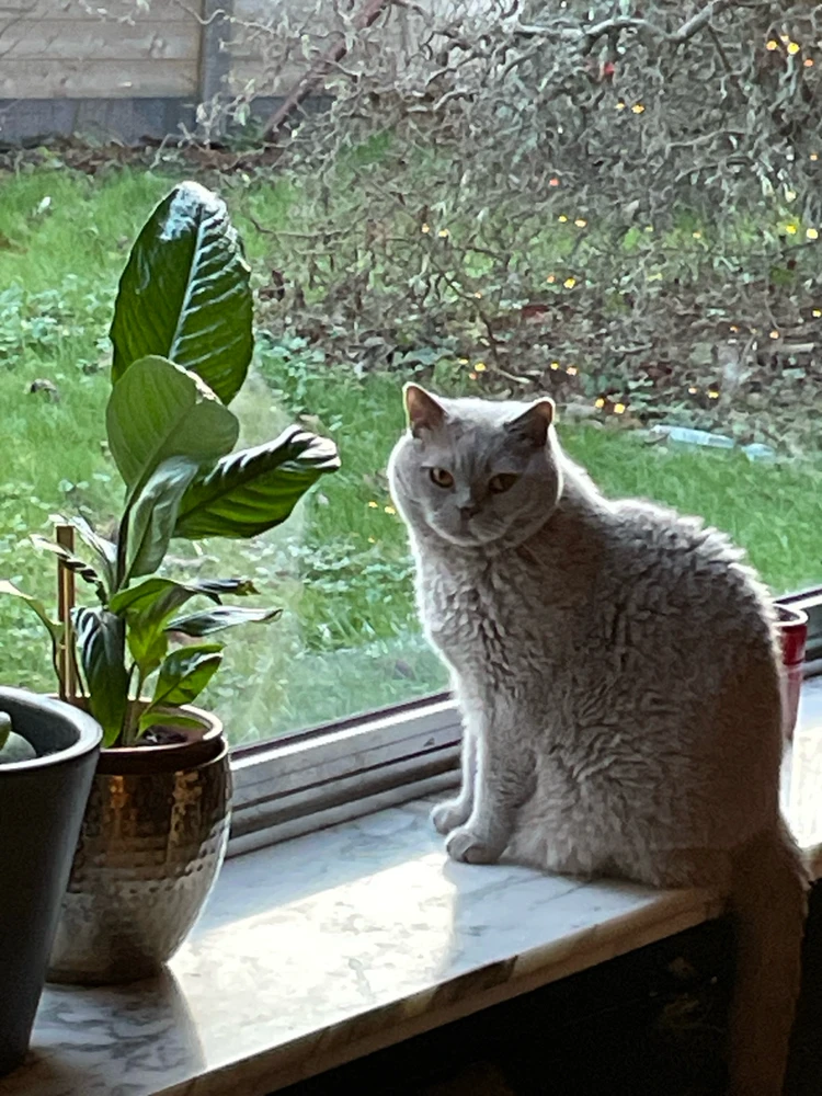 Image uploaded by Tom