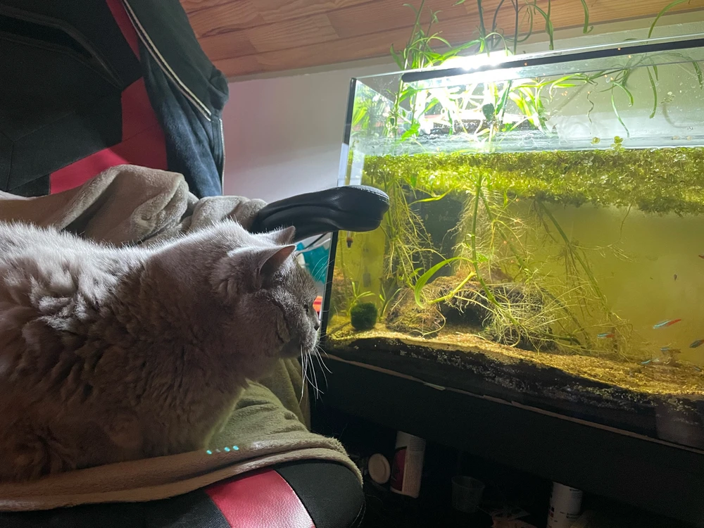 Image uploaded by Tom