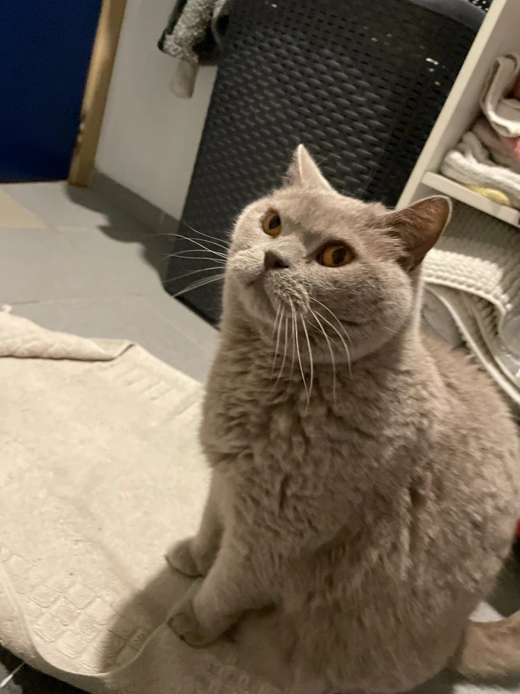 Image uploaded by Tom