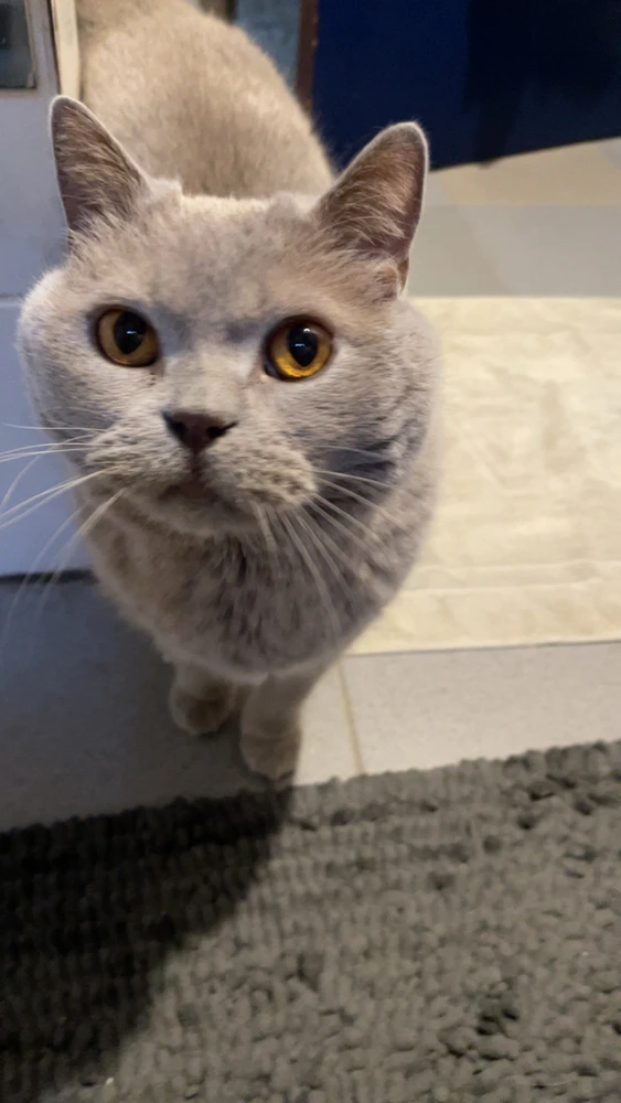 Image uploaded by Tom