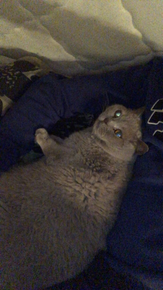 Image uploaded by Tom