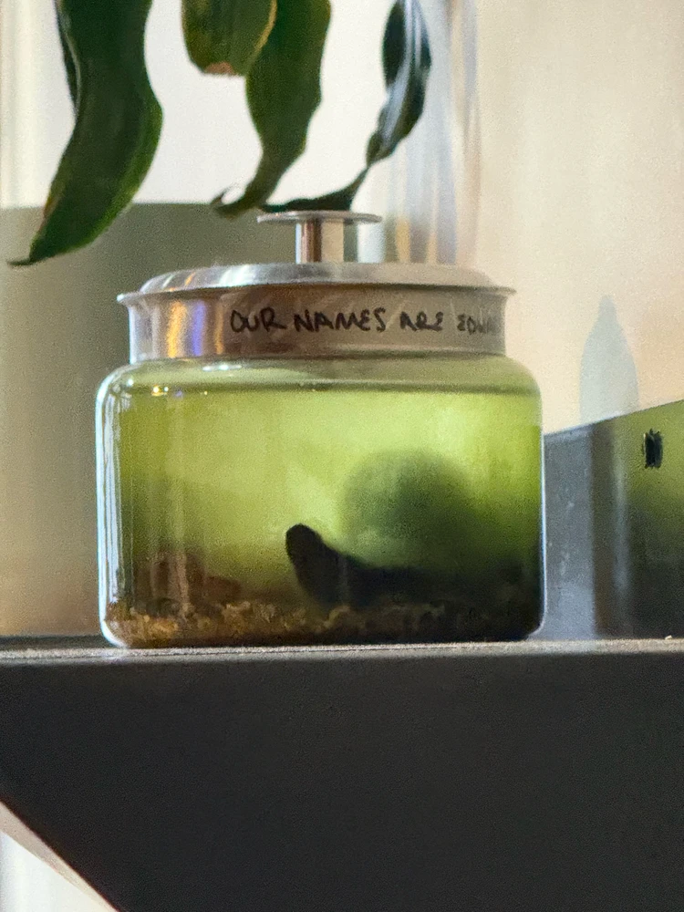 GIF uploaded by Stephen