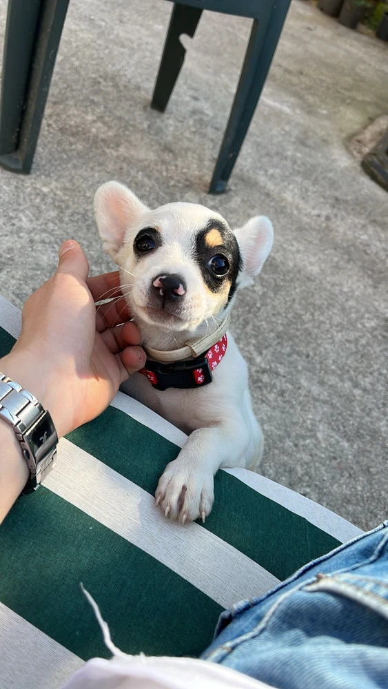 Burak tarafından yüklenen görsel