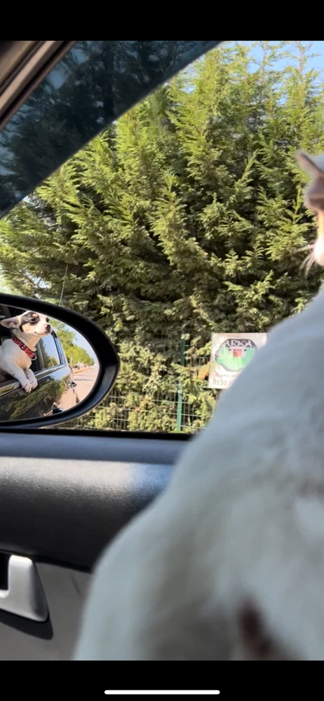 Burak tarafından yüklenen görsel