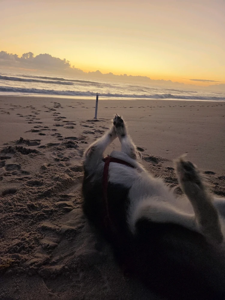 GIF uploaded by Shawn