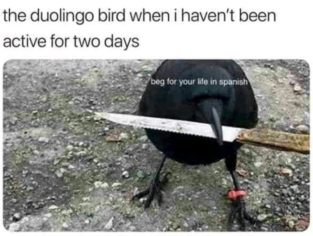 GIF uploaded by Sophia