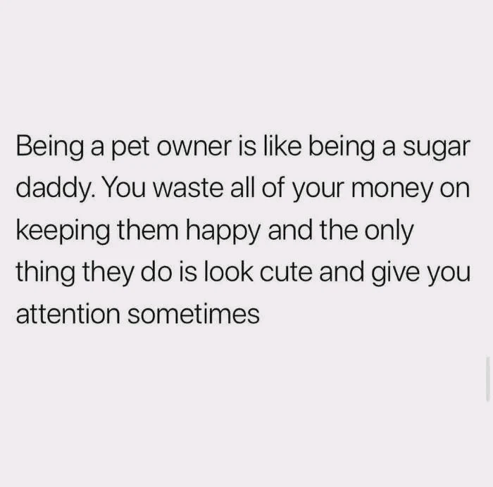 GIF uploaded by Mark