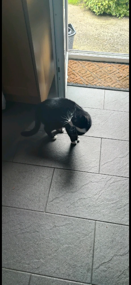 GIF uploaded by DezzieDee