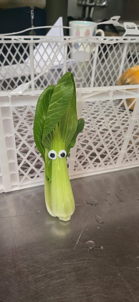 Image uploaded by Meg