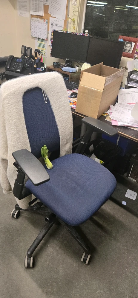 Image uploaded by Meg