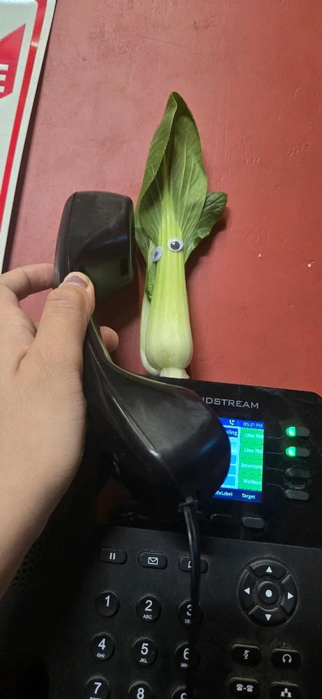 Image uploaded by Meg