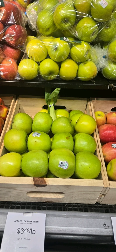 Image uploaded by Meg