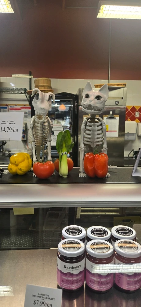 Image uploaded by Meg