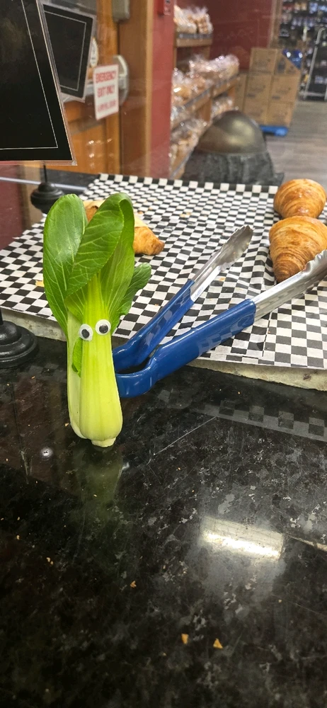 Image uploaded by Meg